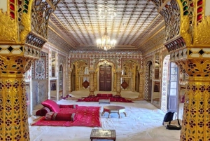 Jaipur: Elefantmöte och kunglig sightseeing med bil