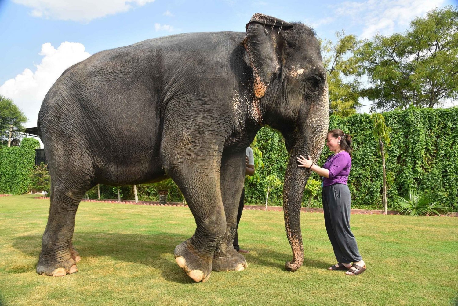 'Jaipur Elephant Experience: Bond, Connect, and Learn'