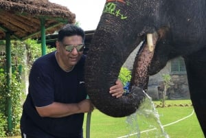 Jaipur: Elephant Interaction Tour