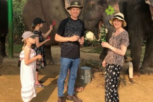 Jaipur: Elephant Interaction Tour