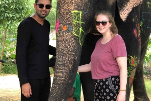 Jaipur: Elefanten Interaktion Tour