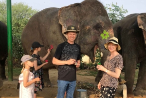 Jaipur: Elefanten Interaktion Tour