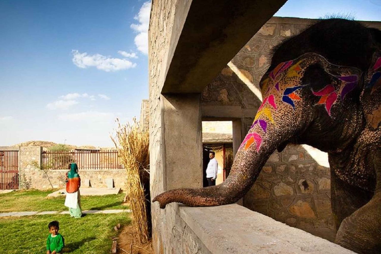 Jaipur: Rundgang durch das Elefantendorf & lokale Erkundungstour