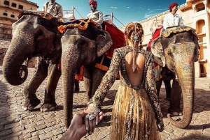 Jaipur: Rundgang durch das Elefantendorf & lokale Erkundungstour