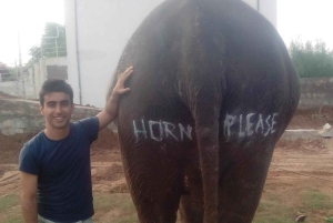 Jaipur: Rundgang durch das Elefantendorf & lokale Erkundungstour