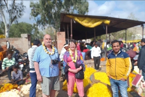 Jaipur: Flower Market, Amber Fort, Monkey Temple & City Tour