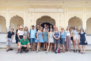 Jaipur: Flower Market, Amber Fort, Monkey Temple & City Tour