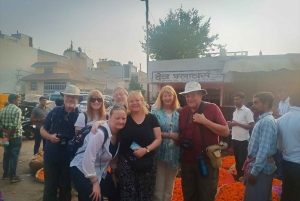 Jaipur: Flower Market, Amber Fort, Monkey Temple & City Tour