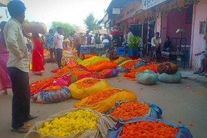 Jaipur: Flower Market, Amber Fort, Monkey Temple & City Tour