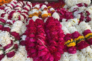 Jaipur: Flower Market, Amber Fort, Monkey Temple & City Tour