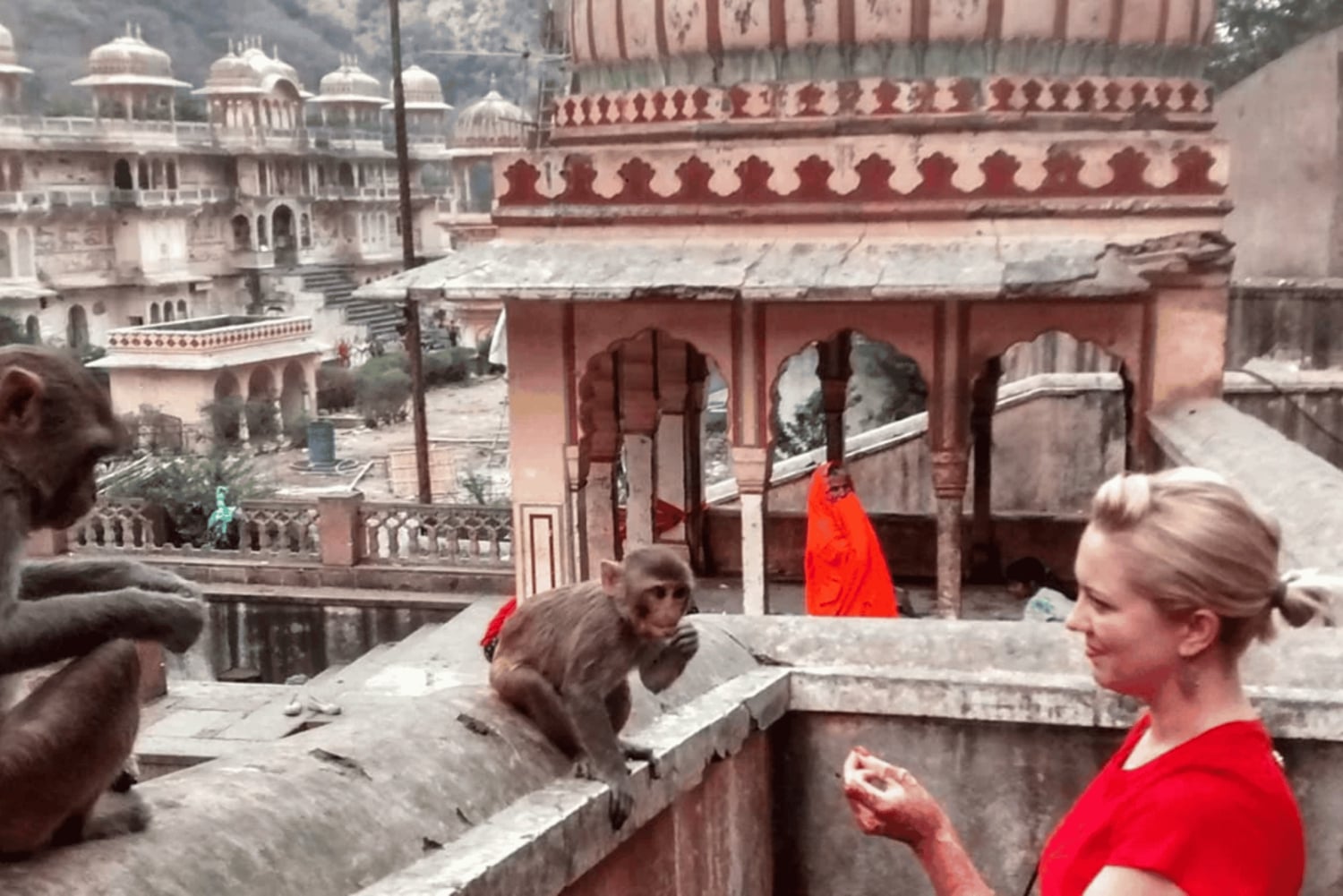 Jaipur: Blumenmarkt-Tour, Affentempel, lokales Frühstück