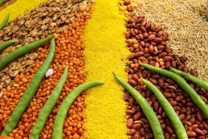 Jaipur Food Walk l Eat Just Like Locals