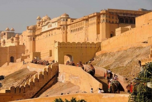 Excursão guiada pela cidade de dia inteiro em Jaipur
