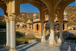 Jaipur: heldags sightseeingtur med bil og guide