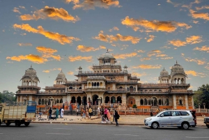 Jaipur: heldags sightseeingtur med bil og guide