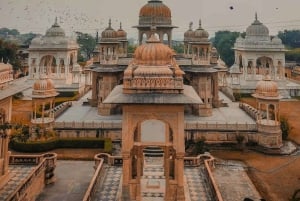 Passeio de um dia por Jaipur: Forte Amber, Palácio da Cidade e guia