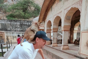 Jaipur Ganztagestour Stadtführung mit Affentempel mit AC Auto