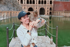 Jaipur Ganztagestour Stadtführung mit Affentempel mit AC Auto