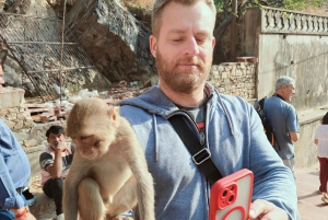 Jaipur Ganztagestour Stadtführung mit Affentempel mit AC Auto