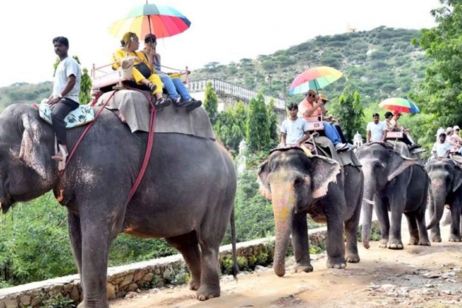 Jaipur-Elephant-Festival