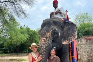 Jaipur: Koko päivän kaupunkikierros Jaipurissa ja kyyti Delhin lentokentälle