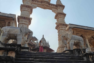 Dżajpur: całodniowa wycieczka po różowym mieście z herbatą masala