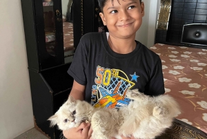 Dżajpur: całodniowa wycieczka po różowym mieście z herbatą masala