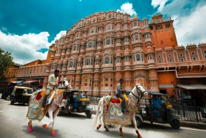Jaipur: Full-Day Private City Guided Tour