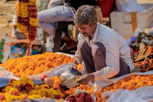 Jaipur: Passeio turístico particular de 1 dia inteiro de tuk tuk