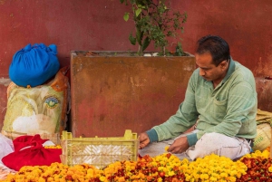 Jaipur: Passeio turístico particular de 1 dia inteiro de tuk tuk