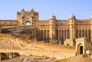 Jaipur: Privat heldags sightseeingtur