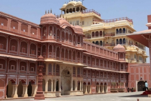 Jaipur: Tour panoramico di un giorno intero in auto con guida