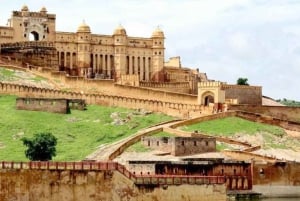 Jaipur: Tour panoramico di un giorno intero in auto con guida