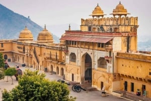 Jaipur: Heldags sightseeingtur med tuk tuk og guide