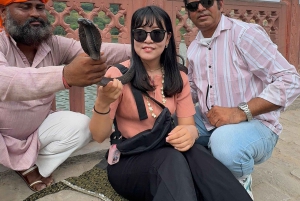 Jaipur: Private Full-Day Guided Tour of City’s Best Sights