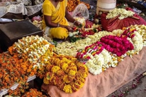 Jaipur: heldagstur med elefantlandsby og blomstermarked