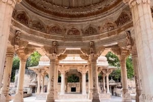 Jaipur: heldagstur med elefantlandsby og blomstermarked