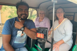 Jaipur: Full Day Tour With Local in Tuk-Tuk or Car