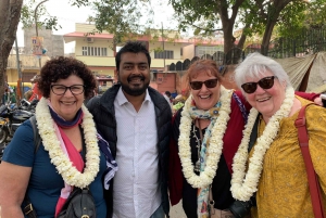 Jaipur: Full Day Tour With Local in Tuk-Tuk or Car