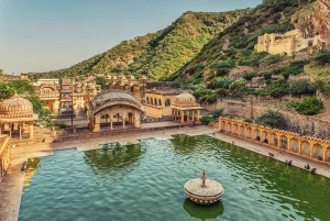 Jaipur : Visite touristique d'une journée ou d'une demi-journée avec marché aux fleurs