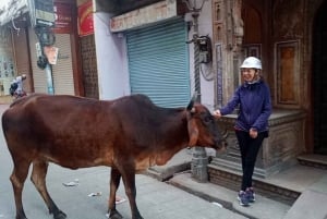 Jaipur: Geführte Fahrradtour am Morgen mit Verkostung