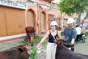 Jaipur: Geführte Fahrradtour am Morgen mit Verkostung