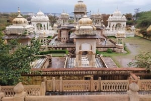 Jaipur: guidad tur på franska