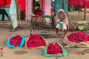 Jaipur: Halvdagsutflykt med guidad sightseeing och blomstermarknad