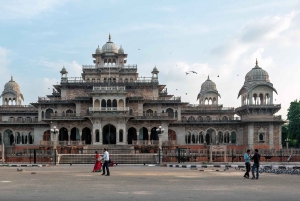 Jaipur: Half-Day Heritage & Cultural Tour of Pink City