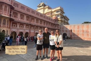 Jaipur: Half Day Tour (Amber Fort, Panna Meena, Jal Mahal)