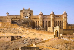 Jaipur halvdagstur Amer Fort, Jal Mahal og Stepwell