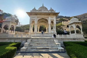 Excursão de meio dia a Jaipur: Forte Amer, Jal Mahal e Stepwell