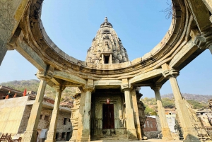 Jaipur Halfdaagse Tour Amer Fort, Jal Mahal & Stepwell