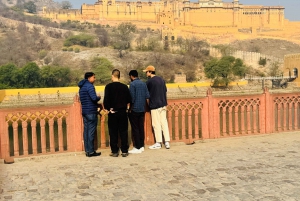Jaipur halvdagstur Amer Fort, Jal Mahal och Stepwell